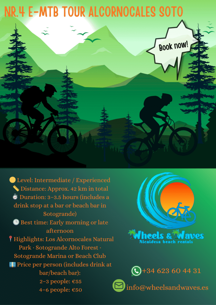 Alcornocales soto nr4 en