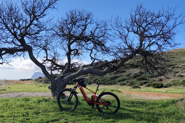 613295951 122155604168827884 3646463838928841988 n