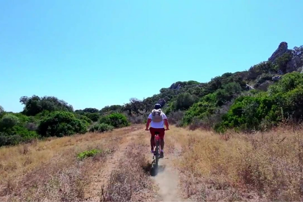 Video drone